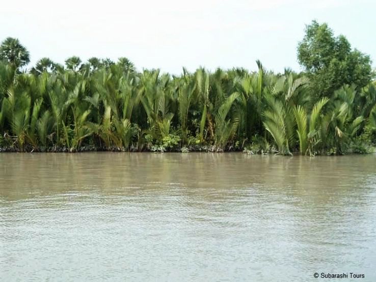 2. Sunderbans Freshwater Swamp Forests